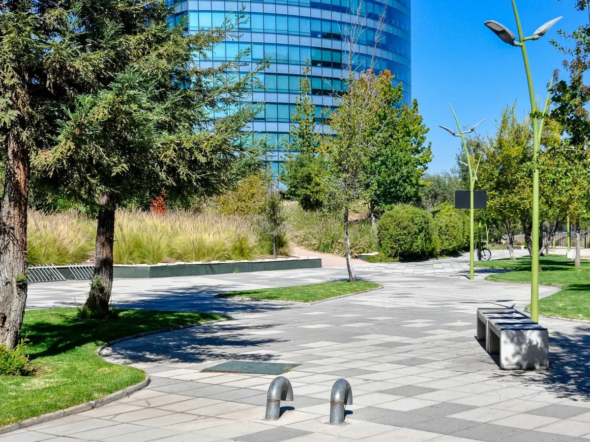 Maintained grounds at a commercial office campus