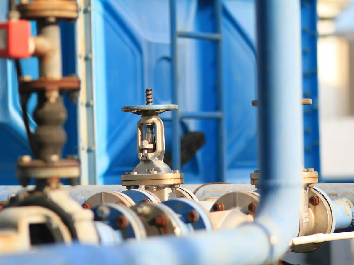 Industrial valves and flow control components on a manifold
