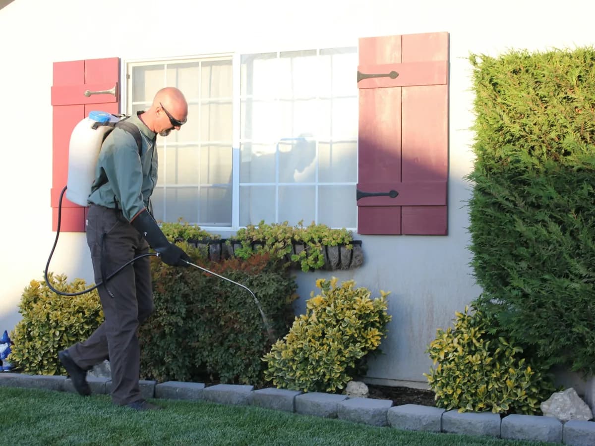 A pest control technician treating the exterior of a home